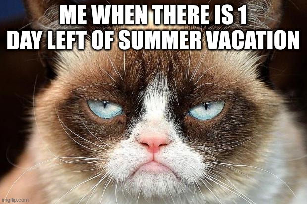 Grumpy Cat Not Amused | ME WHEN THERE IS 1 DAY LEFT OF SUMMER VACATION | image tagged in memes,grumpy cat not amused,grumpy cat | made w/ Imgflip meme maker