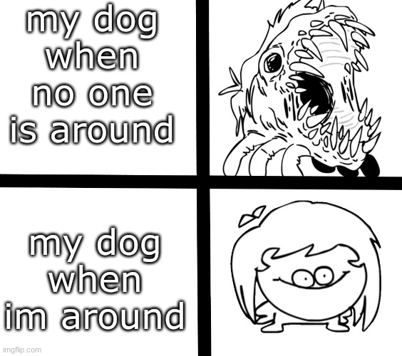Sr Pelo Ill meme | my dog when no one is around; my dog when im around | image tagged in sr pelo ill meme | made w/ Imgflip meme maker