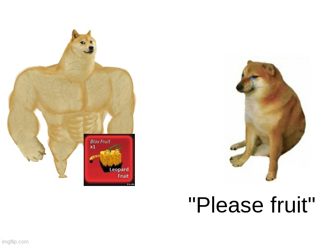 Blox fruits be like | "Please fruit" | image tagged in memes,buff doge vs cheems | made w/ Imgflip meme maker