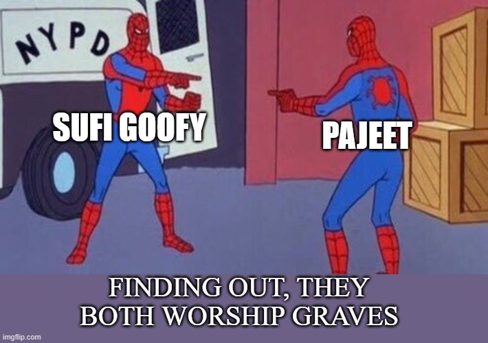 sufi's l | SUFI GOOFY; PAJEET; FINDING OUT, THEY BOTH WORSHIP GRAVES | image tagged in spiderman pointing at spiderman | made w/ Imgflip meme maker