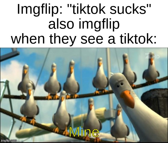 it's so true tho | Imgflip: "tiktok sucks"
also imgflip when they see a tiktok:; Mine | image tagged in nemo seagulls mine,tiktok,imgflip users,funny memes,memes,you have been eternally cursed for reading the tags | made w/ Imgflip meme maker