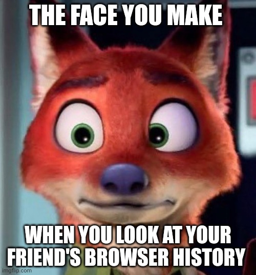 Nick is Appalled | THE FACE YOU MAKE; WHEN YOU LOOK AT YOUR FRIEND'S BROWSER HISTORY | image tagged in wide-eyed nick wilde,zootopia,nick wilde,the face you make when,browser history,funny | made w/ Imgflip meme maker