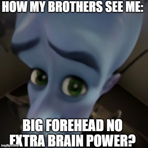 Megamind peeking | HOW MY BROTHERS SEE ME:; BIG FOREHEAD NO EXTRA BRAIN POWER? | image tagged in megamind peeking | made w/ Imgflip meme maker
