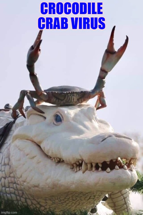 Crab on Crocodile | CROCODILE CRAB VIRUS | image tagged in crab on crocodile | made w/ Imgflip meme maker