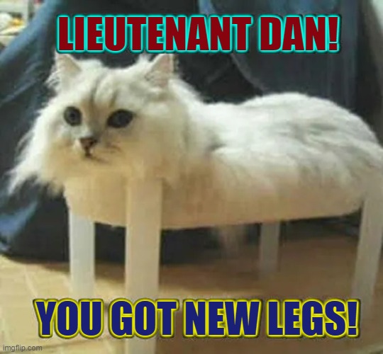 Forgive me, God! | LIEUTENANT DAN! YOU GOT NEW LEGS! | image tagged in vince vance,funny cat memes,cats,forrest gump,forest gump,lieutenant dan | made w/ Imgflip meme maker