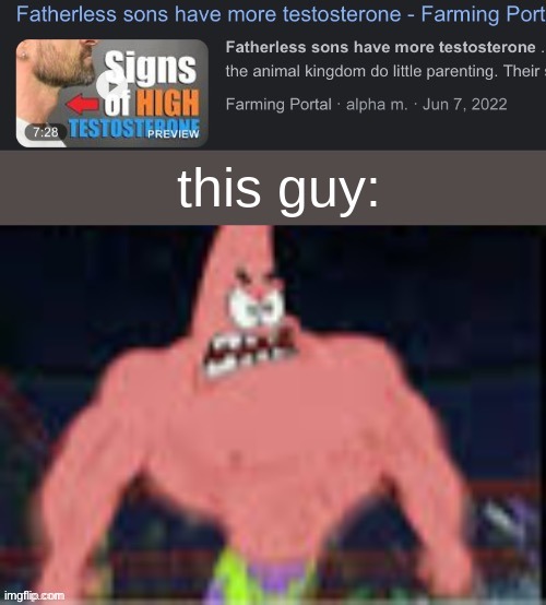Fatherless sons have more testosterone | this guy: | image tagged in fatherless sons have more testosterone | made w/ Imgflip meme maker