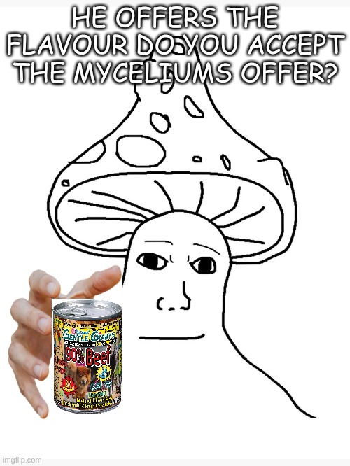 fungoid | HE OFFERS THE FLAVOUR DO YOU ACCEPT THE MYCELIUMS OFFER? | image tagged in mushrooms | made w/ Imgflip meme maker