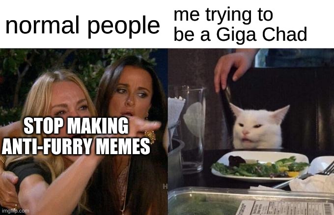i need even more help | normal people; me trying to be a Giga Chad; STOP MAKING ANTI-FURRY MEMES | image tagged in memes,woman yelling at cat | made w/ Imgflip meme maker