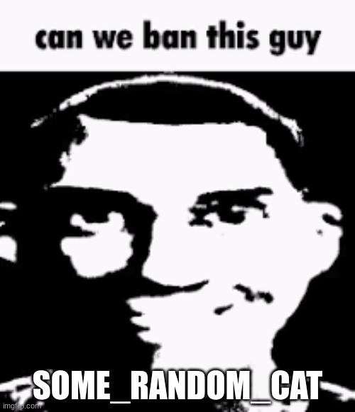 Can we ban this guy | SOME_RANDOM_CAT | image tagged in can we ban this guy | made w/ Imgflip meme maker