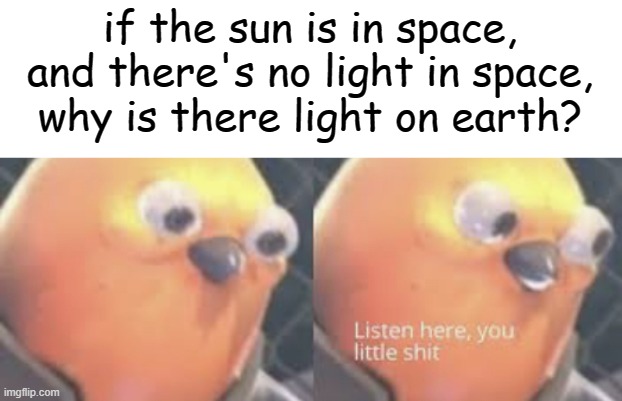 Listen here you little shit bird | if the sun is in space, and there's no light in space, why is there light on earth? | image tagged in listen here you little shit bird | made w/ Imgflip meme maker