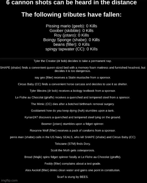 cannons + day 2 | made w/ Imgflip meme maker