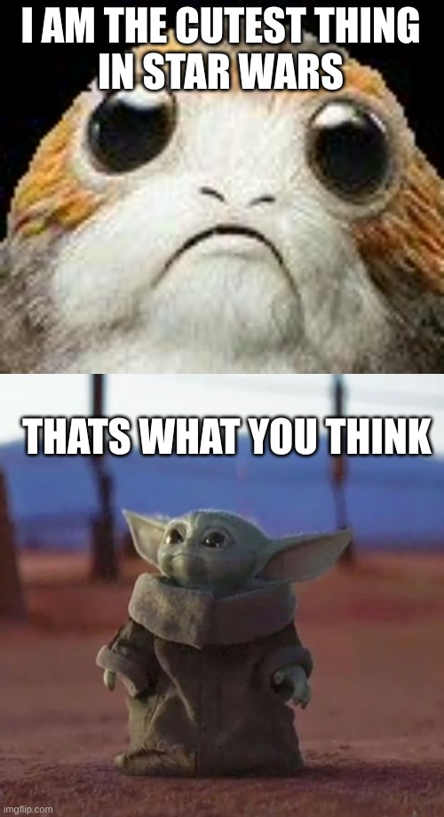 I AM THE CUTEST THING
IN STAR WARS; THATS WHAT YOU THINK | image tagged in cute porg,baby yoda | made w/ Imgflip meme maker