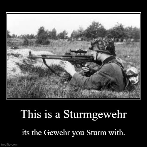 Sturmgewehr | This is a Sturmgewehr | its the Gewehr you Sturm with. | image tagged in funny,demotivationals,historical meme | made w/ Imgflip demotivational maker