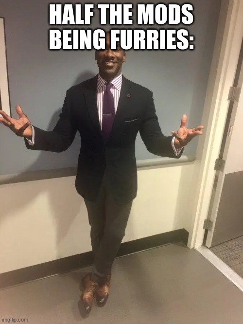 shannon sharpe | HALF THE MODS BEING FURRIES: | image tagged in shannon sharpe | made w/ Imgflip meme maker