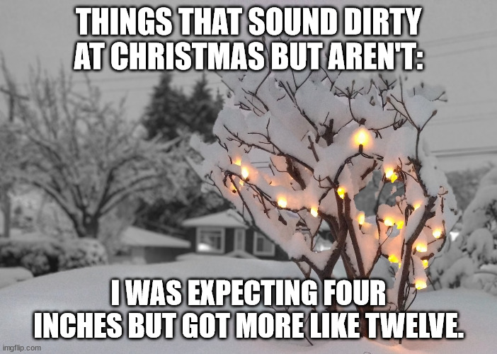 Things That Sound Dirty At Christmas But Aren't (Part 10) | THINGS THAT SOUND DIRTY AT CHRISTMAS BUT AREN'T:; I WAS EXPECTING FOUR INCHES BUT GOT MORE LIKE TWELVE. | image tagged in nature christmas,fun,humor,funny,double entendre | made w/ Imgflip meme maker