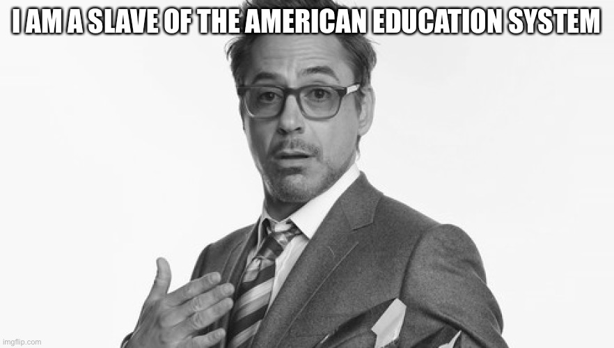 Robert Downey Jr's Comments | I AM A SLAVE OF THE AMERICAN EDUCATION SYSTEM | image tagged in robert downey jr's comments | made w/ Imgflip meme maker