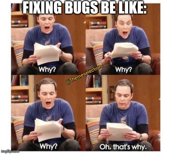 Why why why | FIXING BUGS BE LIKE: | image tagged in why why why | made w/ Imgflip meme maker