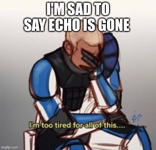 clone trooper rex | I'M SAD TO SAY ECHO IS GONE | image tagged in clone trooper rex | made w/ Imgflip meme maker