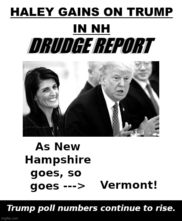 Nikki Haley: As New Hampshire goes, so goes Vermont! | image tagged in nikki haley,new hampshire,vermont,loser,donald trump,winner | made w/ Imgflip meme maker