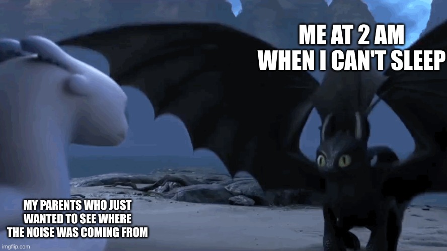 well, i don't think they'll be too happy with me! | ME AT 2 AM WHEN I CAN'T SLEEP; MY PARENTS WHO JUST WANTED TO SEE WHERE THE NOISE WAS COMING FROM | image tagged in httyd,memes,poor people | made w/ Imgflip meme maker