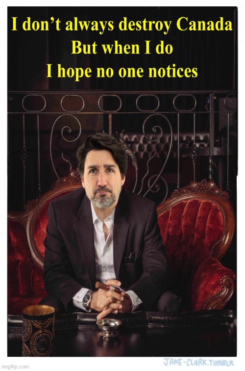 I don't always... | image tagged in dos equis,trudeau,justin trudeau,canada | made w/ Imgflip meme maker