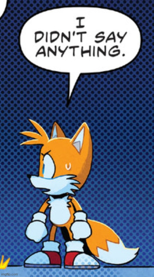 tails i didnt say anything - Imgflip