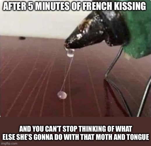 Kiss | AFTER 5 MINUTES OF FRENCH KISSING; AND YOU CAN’T STOP THINKING OF WHAT ELSE SHE’S GONNA DO WITH THAT MOTH AND TONGUE | image tagged in tongue,mouth,kissing,kiss | made w/ Imgflip meme maker