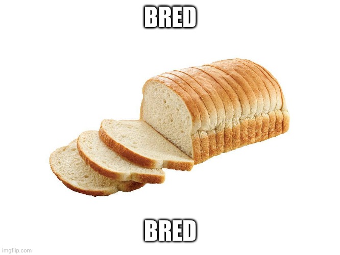 Bred | BRED; BRED | image tagged in bred | made w/ Imgflip meme maker