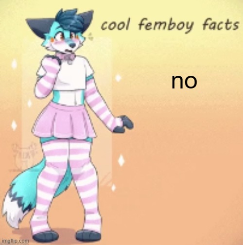 cool femboy facts | no | image tagged in cool femboy facts | made w/ Imgflip meme maker