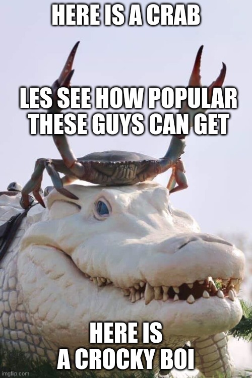 Alligator Crab Template | HERE IS A CRAB; LES SEE HOW POPULAR THESE GUYS CAN GET; HERE IS A CROCKY BOI | image tagged in alligator crab template | made w/ Imgflip meme maker