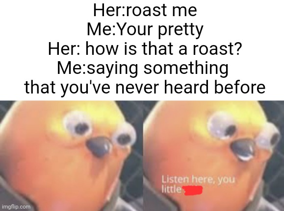 Damn! | Her:roast me
Me:Your pretty
Her: how is that a roast?
Me:saying something 
that you've never heard before | image tagged in blank white template,listen here you little shit bird,roasted | made w/ Imgflip meme maker