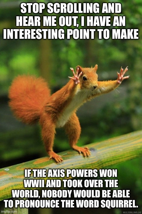 Wait a Minute Squirrel | STOP SCROLLING AND HEAR ME OUT, I HAVE AN INTERESTING POINT TO MAKE; IF THE AXIS POWERS WON WWII AND TOOK OVER THE WORLD, NOBODY WOULD BE ABLE TO PRONOUNCE THE WORD SQUIRREL. | image tagged in wait a minute squirrel,german,japanese,pronunciation | made w/ Imgflip meme maker