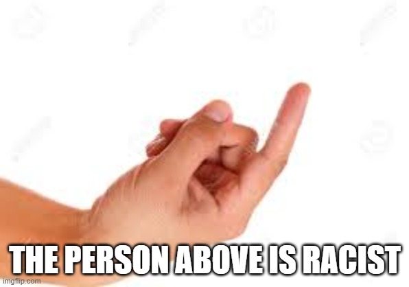 the person below | THE PERSON ABOVE IS RACIST | image tagged in the person below | made w/ Imgflip meme maker
