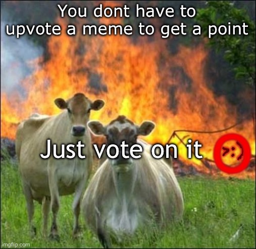 IM NOT UPVOTE BEGGING I PROMISE ?? | You dont have to upvote a meme to get a point; Just vote on it; O; >:) | image tagged in memes,evil cows | made w/ Imgflip meme maker