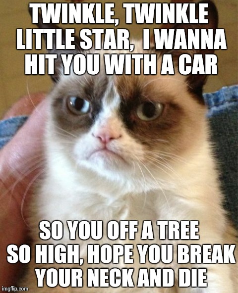 Grumpy Cat | TWINKLE, TWINKLE LITTLE STAR,  I WANNA HIT YOU WITH A CAR SO YOU OFF A TREE SO HIGH, HOPE YOU BREAK YOUR NECK AND DIE | image tagged in memes,grumpy cat | made w/ Imgflip meme maker