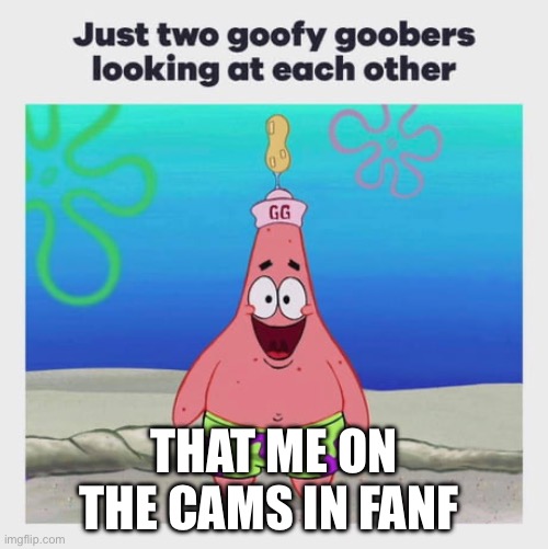 Me on cams | THAT ME ON THE CAMS IN FANF | image tagged in 2 goofy goober looking at eachother | made w/ Imgflip meme maker