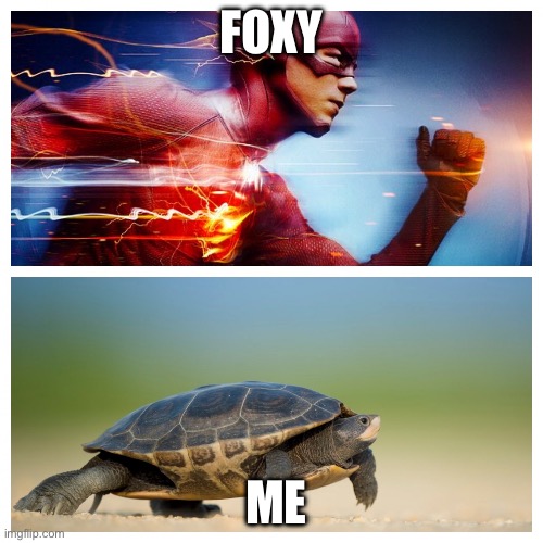 Foxy sprint | FOXY; ME | image tagged in fast vs slow | made w/ Imgflip meme maker