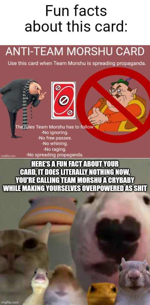 Don't bother responding | HERE'S A FUN FACT ABOUT YOUR CARD, IT DOES LITERALLY NOTHING NOW, YOU'RE CALLING TEAM MORSHU A CRYBABY WHILE MAKING YOURSELVES OVERPOWERED AS SHIT | image tagged in the council remastered | made w/ Imgflip meme maker
