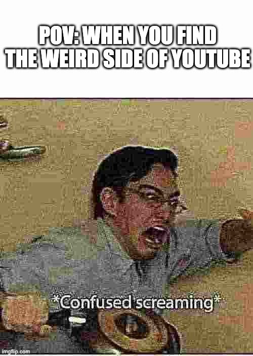 OOF | POV: WHEN YOU FIND THE WEIRD SIDE OF YOUTUBE | image tagged in confused screaming | made w/ Imgflip meme maker
