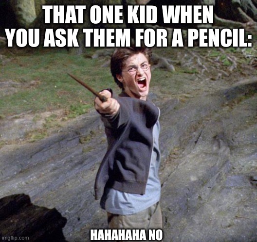 It’s Just a Pencil Bro Calm Down | THAT ONE KID WHEN YOU ASK THEM FOR A PENCIL:; HAHAHAHA NO | image tagged in harry potter | made w/ Imgflip meme maker