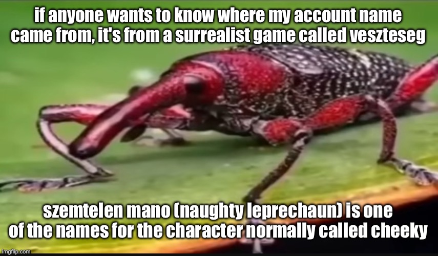 bug | if anyone wants to know where my account name came from, it's from a surrealist game called veszteseg; szemtelen mano (naughty leprechaun) is one of the names for the character normally called cheeky | image tagged in bug | made w/ Imgflip meme maker