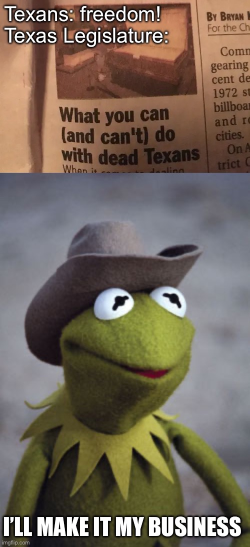 Texas | Texans: freedom!
Texas Legislature:; I’LL MAKE IT MY BUSINESS | image tagged in texas kermit,texas,law,dead | made w/ Imgflip meme maker