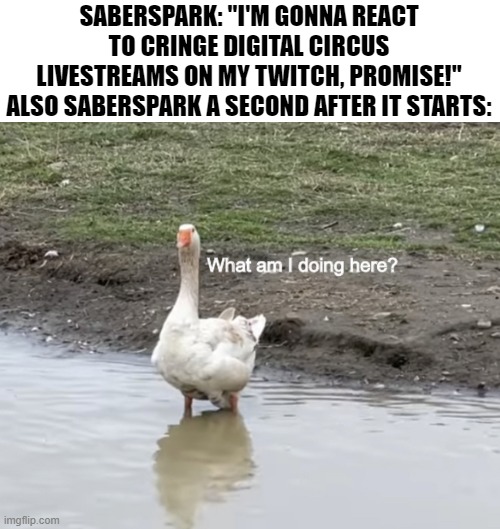 Didn't he do something like this? | SABERSPARK: "I'M GONNA REACT TO CRINGE DIGITAL CIRCUS LIVESTREAMS ON MY TWITCH, PROMISE!"
ALSO SABERSPARK A SECOND AFTER IT STARTS: | image tagged in what am i doing here,the amazing digital circus,memes | made w/ Imgflip meme maker