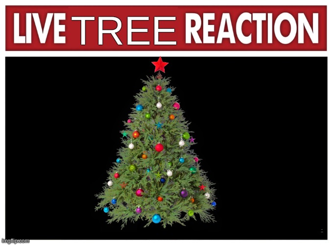 y | TREE; heres some text | image tagged in live reaction | made w/ Imgflip meme maker