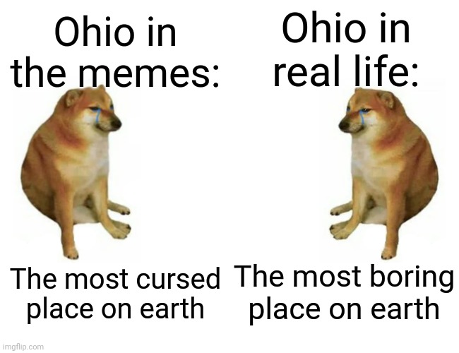 Ohio is boring. Trust me, I live there. | Ohio in real life:; Ohio in the memes:; The most boring place on earth; The most cursed place on earth | image tagged in cheems vs cheems,ohio,memes,funny | made w/ Imgflip meme maker