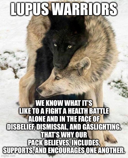 Lupus Warriors Pack Support | LUPUS WARRIORS; WE KNOW WHAT IT’S LIKE TO A FIGHT A HEALTH BATTLE ALONE AND IN THE FACE OF DISBELIEF, DISMISSAL, AND GASLIGHTING.
THAT’S WHY OUR PACK BELIEVES, INCLUDES, SUPPORTS, AND ENCOURAGES ONE ANOTHER. | image tagged in wolf,illness,sick,support,encouragement | made w/ Imgflip meme maker