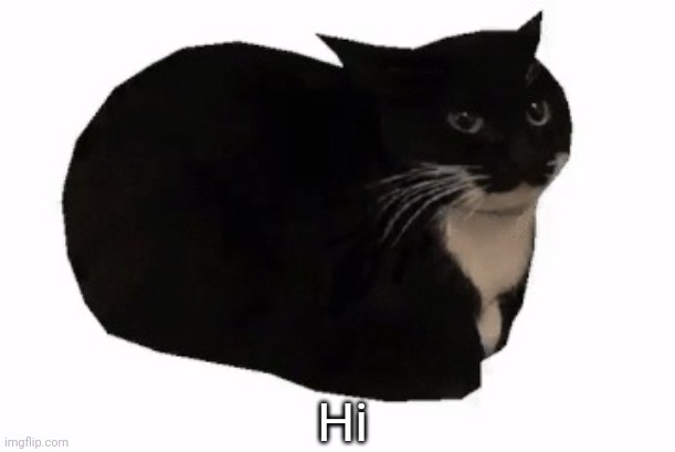 maxwell the cat | Hi | image tagged in maxwell the cat | made w/ Imgflip meme maker