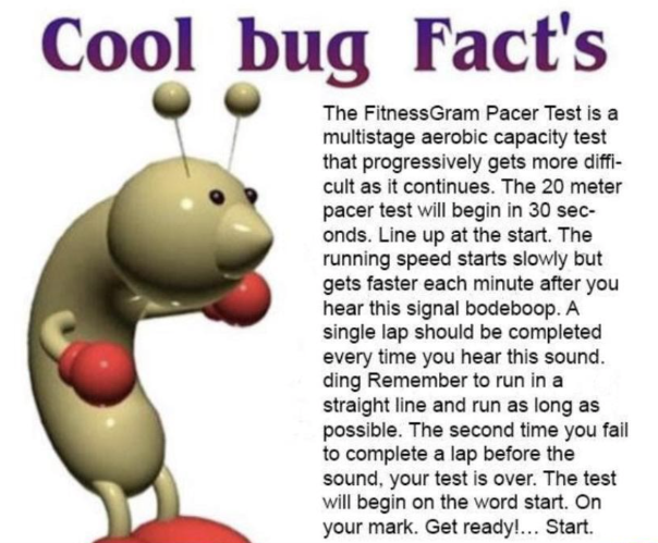 High Quality Cool bug facts: Fitness Gram Pacer Test Blank Meme Template