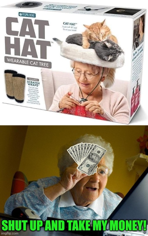Cat Hat | SHUT UP AND TAKE MY MONEY! | image tagged in memes,grandma finds the internet,cat,hat,shut up and take my money | made w/ Imgflip meme maker