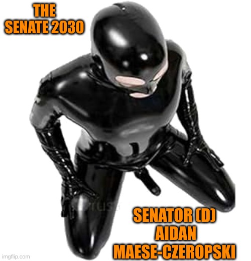 A new breed of Democratic Senators for the next decade | THE SENATE 2030; SENATOR (D) 
AIDAN MAESE-CZEROPSKI | made w/ Imgflip meme maker